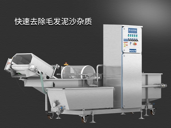 果蔬清洗機制造廠家，氣泡清洗，清洗800kg/小時