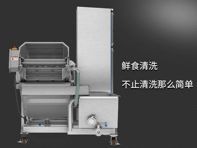 高質(zhì)蔬菜清洗機(jī)，氣泡清洗，清洗800kg/小時(shí)